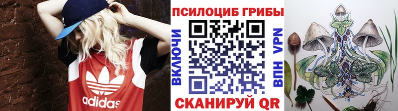 mega зеркало  Вилючинск  Псилоцибиновые грибы MAGIC MUSHROOMS 
